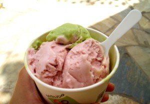 noor khan ice cream